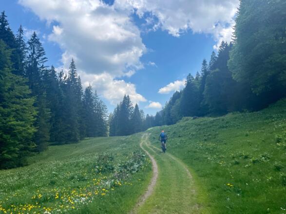 Schöner Wiesentrail im Leckner Tal