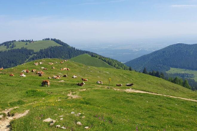 Blick von der Rampoldplatte in Richtung Norden