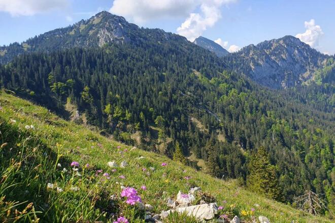 Blick zum Wendelstein hinüber