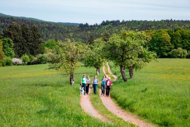Wandern im RÄUBERLAND