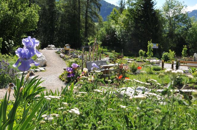 Hildegard von Bingen Garten