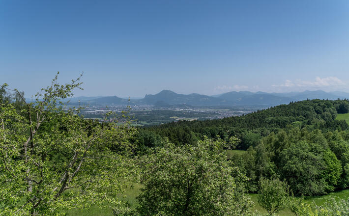 Blick von der Neubichler Alm nach Salzburg