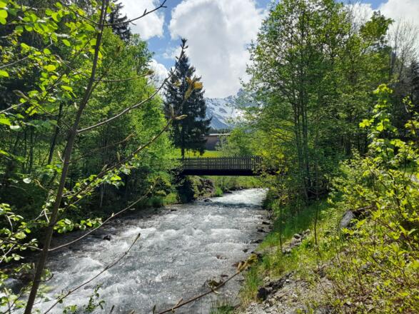 Mehrere Brücken führen über den Alvierbach
