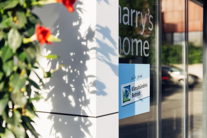 Harrys Home Seminarraum © Daniel Zangerl
