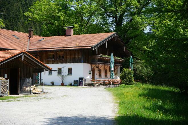 Schlipfgrubalm