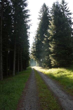 Meditationsweg_Sandl