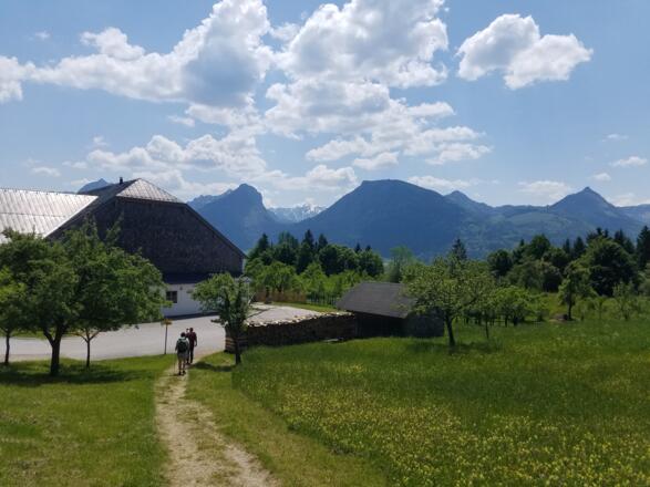 Die Jausenstation Aschinger liegt verlockend günstig am Abstieg nach St. Wolfgang.