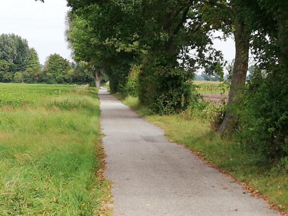 Zwischen Neufahrn und Massenhausen