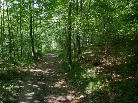 Auf dem Weg zur Höllenbachalm