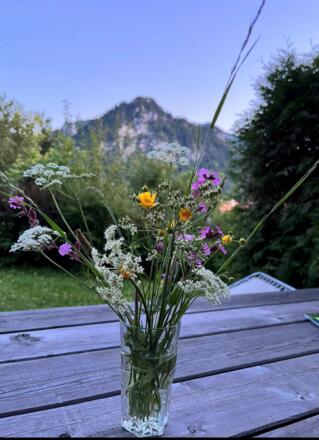 Blick von unserer Terrasse
