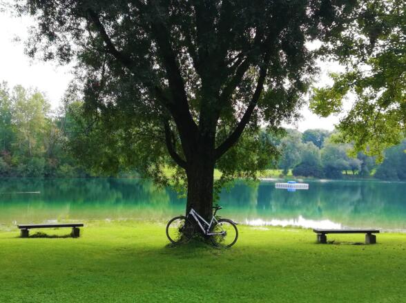 Idylle an den Neufahrner Mühlseen