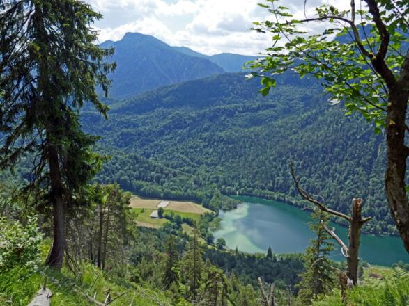 Blick zum Lattengebirge