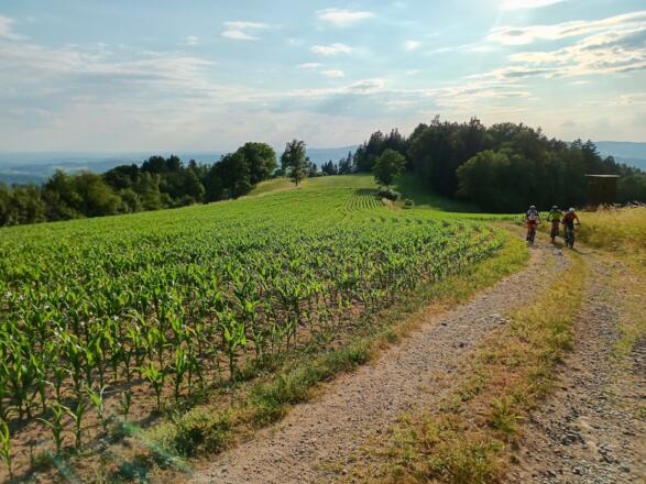 Wegstück zum Winterberg
