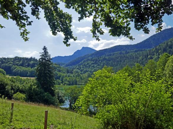 Blick zum Predigtstuhl