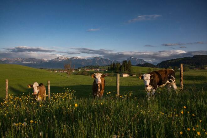 Urlaub im Allgäu