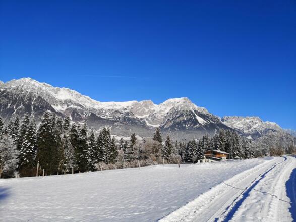 Scheffau_Soell_Kaiserblick-Winterrunde_Bärbichl_Wilder_Kaiser
