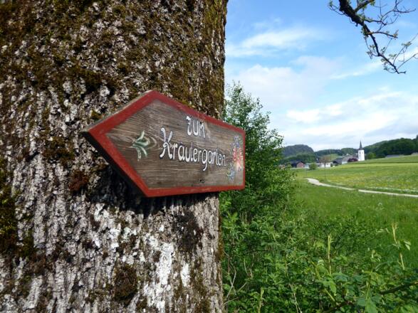 Am ersten Wegabschnitt von Fuschl zur Rumingmühle liegt ein Kräutergarten.
