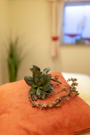 Kurheim Kreuzer Mühle