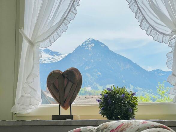 Blick in die Allgäuer Berge