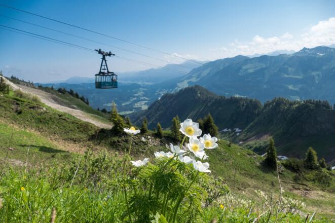 Sommertag am Walmendingerhorn (c)  - Oberstdorf Kl