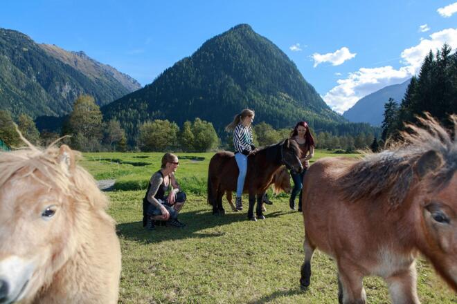Pony Ranch 2