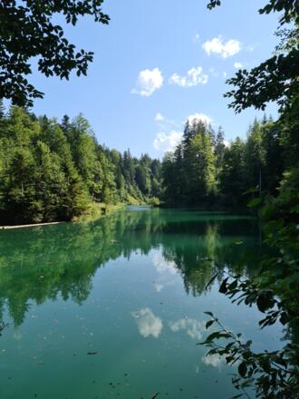 Stausee im Haldertobel