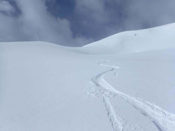 Ideal bei nicht zu hohem Pulverschnee