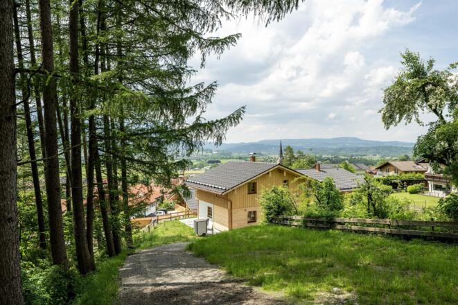 Ansicht_aus_unserem_Wald