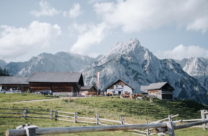 Walderalm