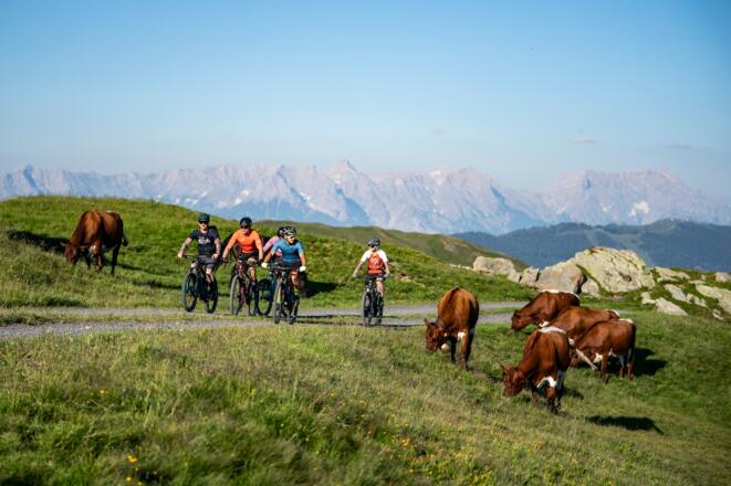 MTB Tour Saalbach