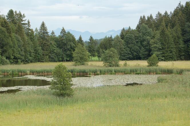 Der Rantscher Weiher