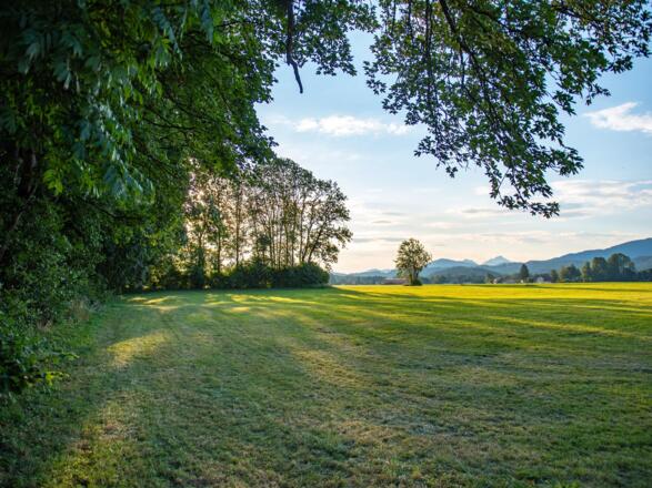 Wiesen und Wälder östlich vom Glaslhof