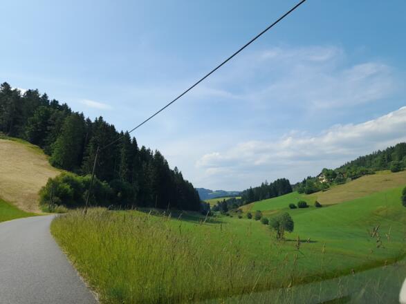 Mühlviertler Landschaft entlang der Tour
