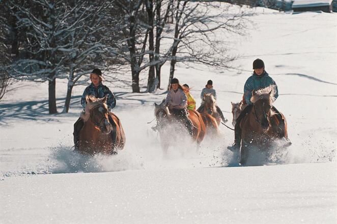 Ski &amp; Reiten im Brandnertal