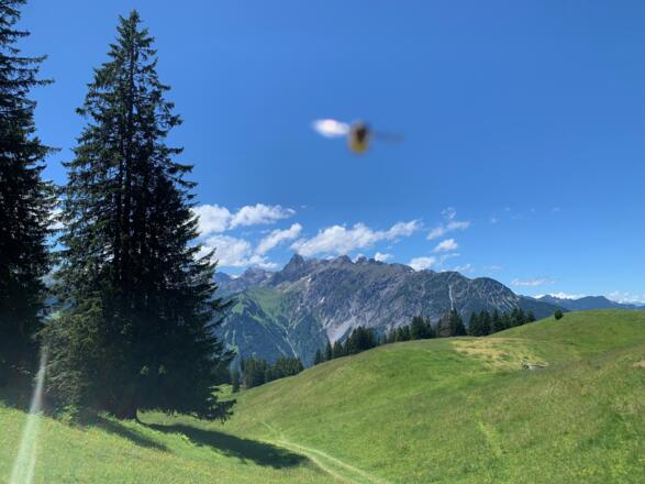 aussichtsreicher Blick auf dei umliegenden Berge