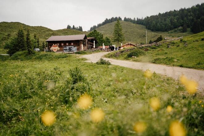 Scheffau_Stöfflhütte_Sommer_Wilder Kaiser