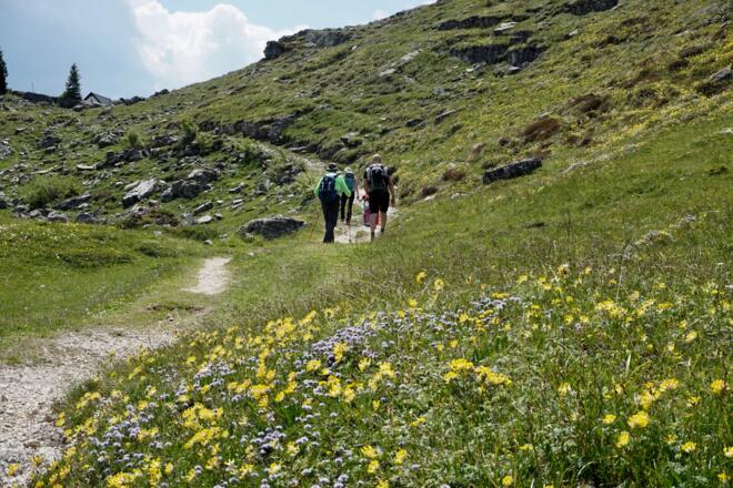 Letztes Wegstück zum Straubinger Haus