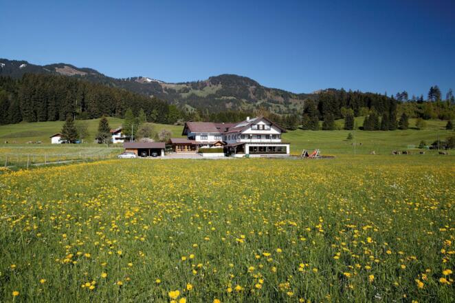 Schönblick im Frühling