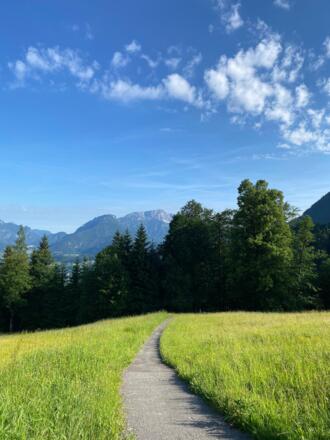 Ausblick beim Gasthof Vorderbrand