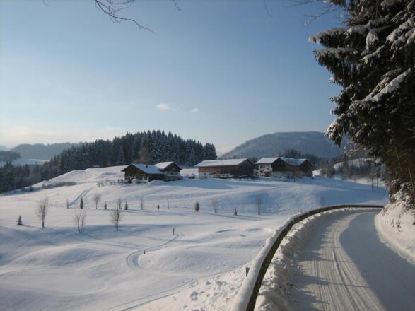 2010-12-16_10-39-17_IXUS50-#3064