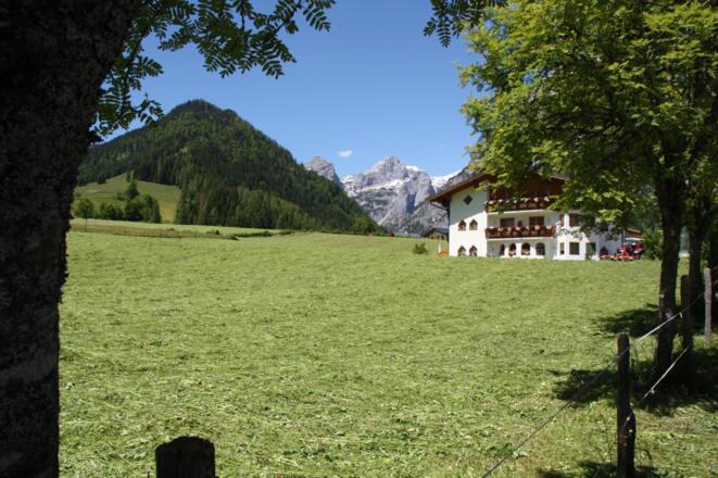 Heuernte & Appartementhaus