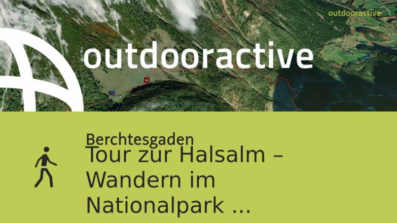 Tour zur Halsalm – Wandern im Nationalpark Berchtesgaden