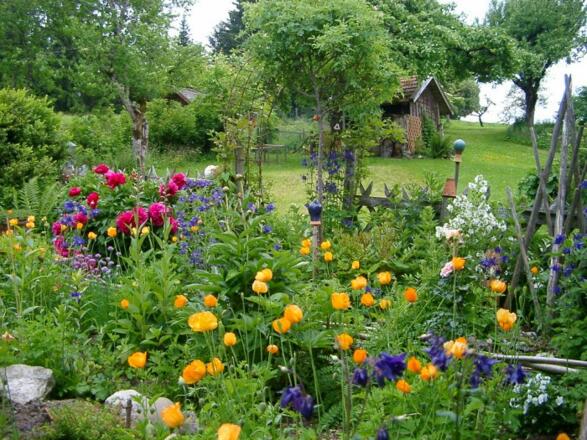 Bauerngarten mit Kräutern