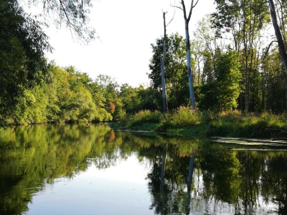 Amperschleife zwischen Langenbach und Inkofen
