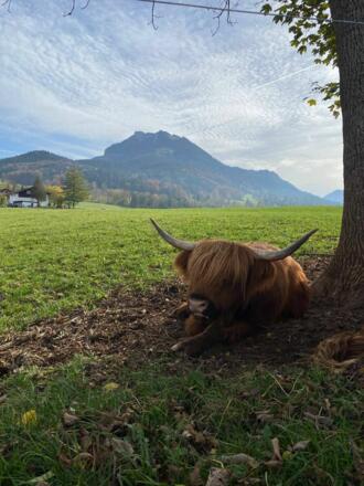 Ausblick