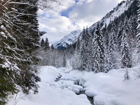 2019 jan 20 Breitag in sneeuw    op Site KWT