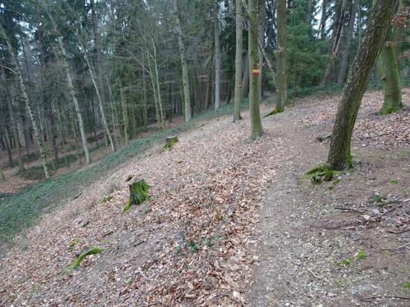 Trail bei Berndorf