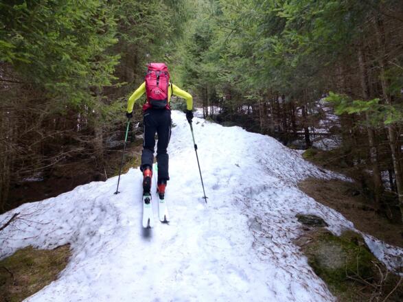 Durch den dichten Wald benötigt es über den Winter eine gute Schneelage, damit auch im Frühjahr ein Aufstieg mit Ski möglich ist.