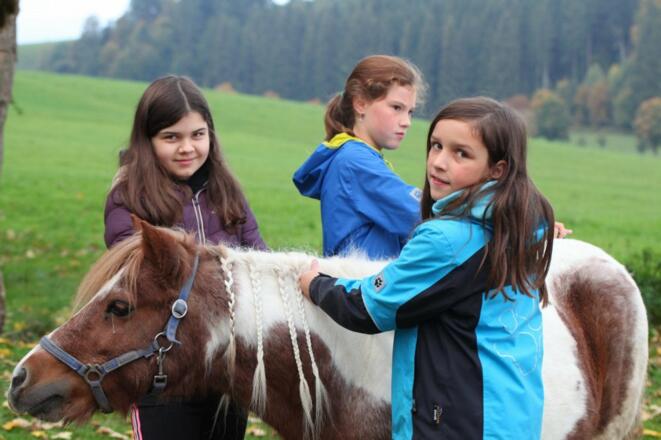 bei der täglichen Fütterung und Pflege behilflich