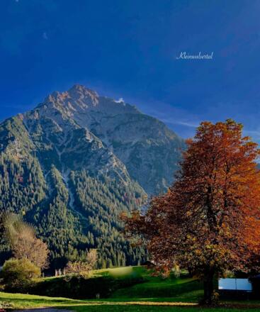 2018 okt 16 Kleinwalsertal bomen zomers    op Site